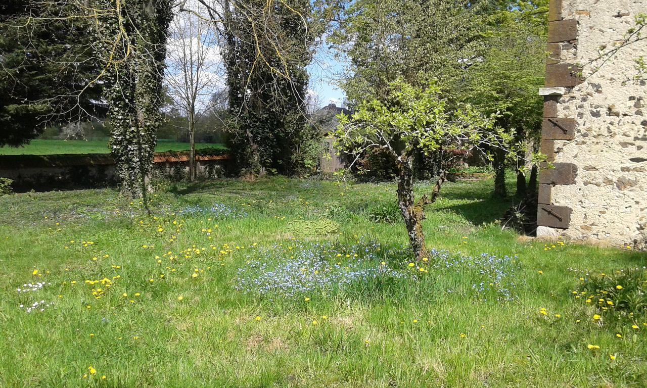 مبيت وإفطار Vailly-sur-Sauldre La Sauldre المظهر الخارجي الصورة